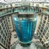 1500 Jenis Ikan Tropis Berhamburan, 2 Orang Terluka Akibat Aquarium Raksasa di Berlin Pecah