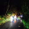 Akibat Hujan Deras, Pohon Durian Tumbang Timpa Rumah Warga di Desa Rogoselo Kabupaten Pekalongan