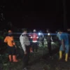 Malam Hari, Petugas Gabungan Bersihkan Pohon Tumbang di Hutan
