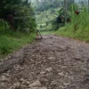 Kondisi jalan ke Desa Songgodadi di ruas Yosorejo-Curugmuncar rusak. (Hadi Waluyo)