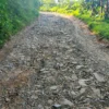 Jalan Kabupaten Tak Kunjung Diperbaiki, Pemdes Domiyang Kabupaten Pekalongan Kerahkan Puluhan Warga untuk Swadaya Perbaiki Jalan Rusak