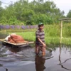 Banjir Tak Kunjung Surut, Begini Cara Korban Banjir di Kabupaten Pekalongan Tetap Beraktivitas