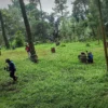 Serunya Permainan Painball di Buper Linggoasri, Seperti Perang Tengah Hutan