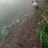 Tebing 200 M Longsor Hancurkan Instalasi Air Bersih di Desa Songgodadi Kecamatan Petungkriyono, 136 KK Kesulitan Air Bersih