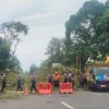 Antisipasi Gangguan Listrik Akibat Pohon Tumbang, PT PLN UP3 Pekalongan Gerakkan Sporter Batik