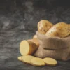 kandungan pada kentang
