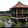 Wisata Mangrove Park Pekalongan