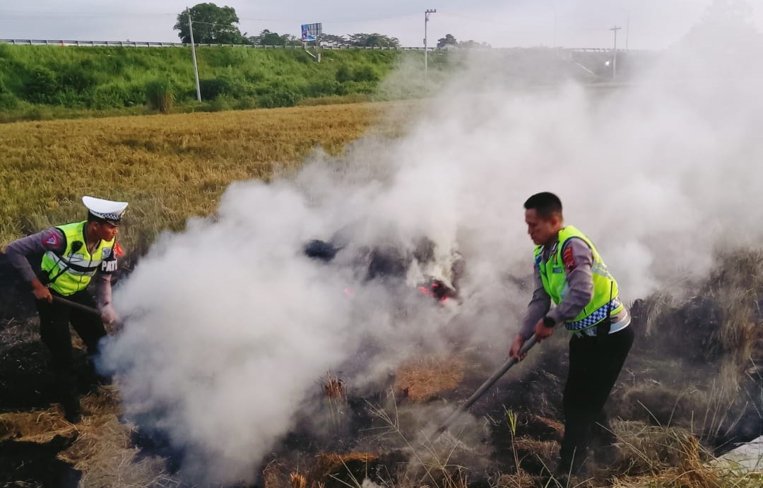 Asap Pembakaran Jerami Ganggu Lalu Lintas Jalan Tol Di Km 339 Pekalongan Polisi Sigap Turun Ke 5117