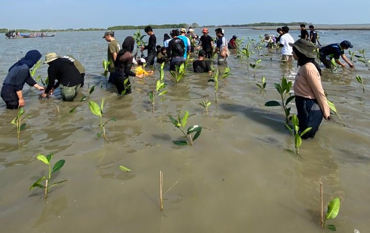 aksi mangrove 2023