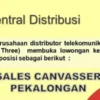 Sales Canvaser Indosat Pekalongan