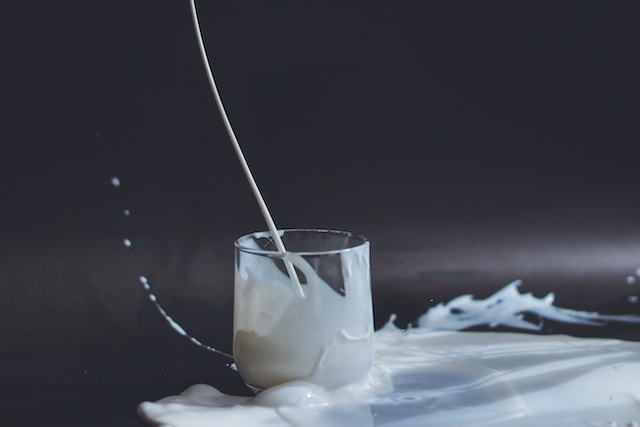 Harga susu diet rendah lemak