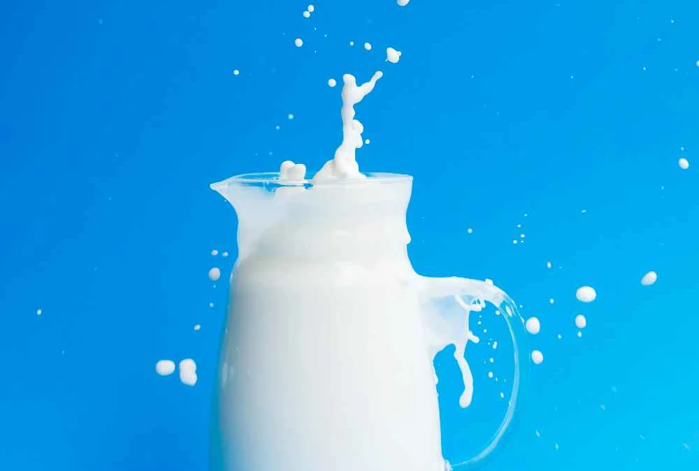 Susu diet mengurangi berat badan