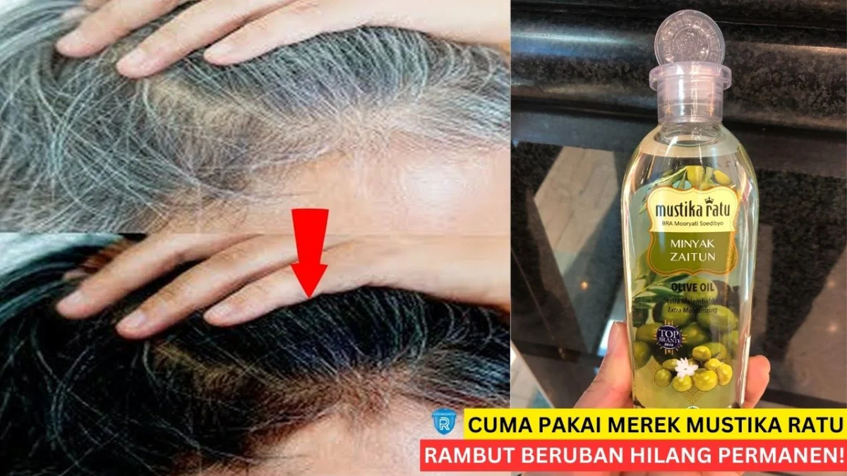 manfaat minyak zaitun mustika ratu untuk rambut beruban