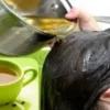 manfaat teh hijau untuk rambut