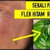 manfaat daun sirih untuk wajah flek hitam membandel