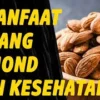 Manfaat Kacang Almond sebagai Sumber Vitamin E