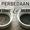 Perbedaan Manfaat Biji Selasih dan Chia Seed