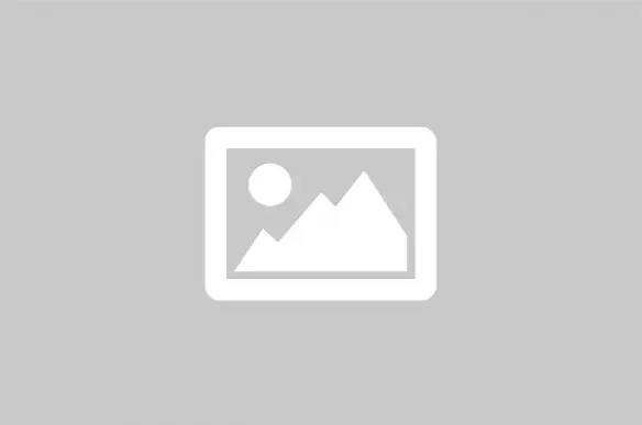 Website Pemerintah