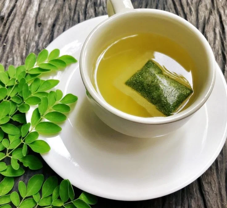 teh herbal daun kelor